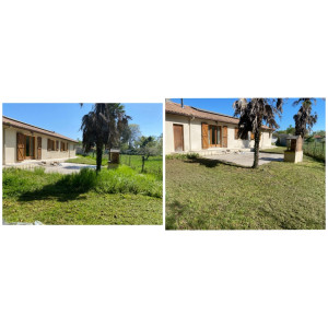 Photo de galerie - Tonte de pelouse - Débroussaillage