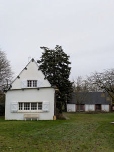 Photo de galerie - Travaux d’élagage de cette année