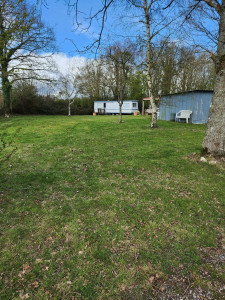 Photo de galerie - Entretien tonte pelouse 
