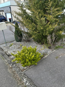 Photo de galerie - Entretien d’extérieur - AVANT 