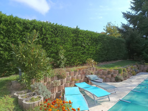 Photo de galerie - Taille avant