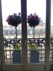 Photo de galerie - Paysagiste - Aménagement du jardin