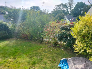 Photo de galerie - Taille de haies et d'arbustes