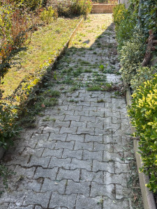 Photo de galerie - Paysagiste - Aménagement du jardin