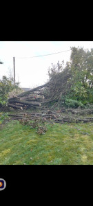 Photo de galerie - Débitage d'un arbre tombé 