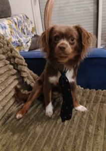 Photo de galerie - Atlas, petit pensionnaire, pose pour la photo pour sa famille 