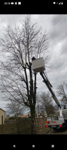 Photo de galerie - Élagage d arbre avec ou sans nacelle 
Abattage d'arbres de toute hauteur 
Tonte de pelouse 
Évacuation des déchets verts etc....