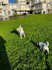 Photo de galerie - Mes amour en balade 