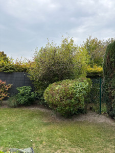 Photo de galerie - Taille de haies et d'arbustes