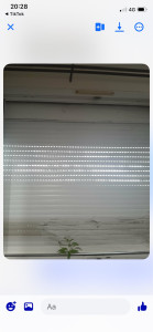 Photo de galerie - Voir cette couleur blanche qui réapparaît à nouveau ça fait toujours plaisir 