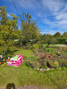 Photo de galerie - Paysagiste - Aménagement du jardin