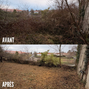Photo de galerie - Débroussaillage jardin 