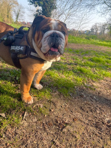 Photo de galerie - STOMY 