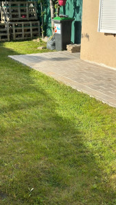 Photo de galerie - Tonte de pelouse - Débroussaillage