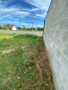 Photo de galerie - Tonte de pelouse - Débroussaillage