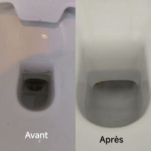 Photo de galerie - Avant : dépôt tenace au fond de la cuvette
Après : cuvette propre et assainie