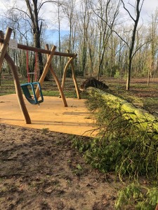 Photo de galerie - Elagage et coupe d'arbres