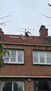 Photo de galerie - Nettoyage de toiture 