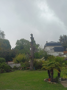 Photo de galerie - Coupure terminée plus cas attendre que ça pousse