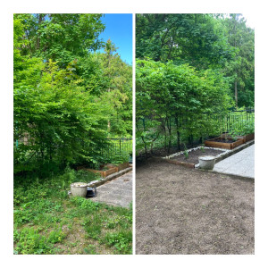 Photo de galerie - Désherbage et taille de haie 