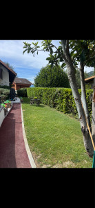 Photo de galerie - Apres taille 