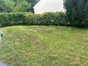 Photo de galerie - Après Jardin 