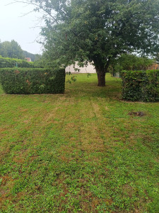 Photo de galerie - Tonte de pelouse 