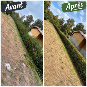 Photo de galerie - Chantier de taille de haie à cazères-sur-l’adour 