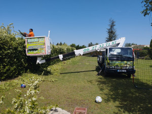 Photo de galerie - Taille  d'une haie de pyrakanta 