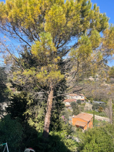 Photo de galerie - Avant 