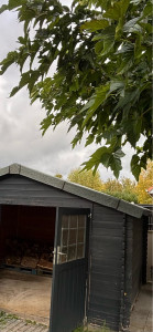 Photo de galerie - Rénovation cabane jardin 