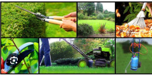 Photo de galerie - Bonjour je suis là pour vous aider dans tout se qui et tonte de pelouse taille de haies vous débarrasser des encombrants désherber votre jardin pour qu’il soit plus jolie je suis à votre disposition quand vous le souhaiterai