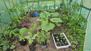 Photo de galerie - Mission de jardinage validée !