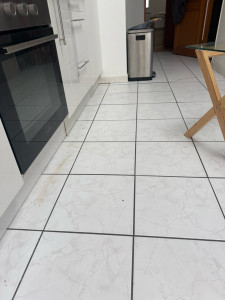 Photo de galerie - Voici une photo de la maison avant nettoyage 