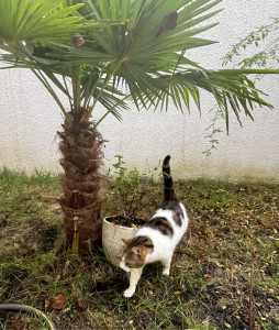 Photo de galerie - Balade dans le jardin fermé