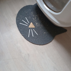 Photo de galerie - Ménage