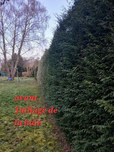 Photo de galerie - Avant 