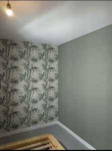 Photo de galerie - Peinture plafond + papier peint 2 couleurs différentes 