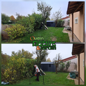 Photo de galerie - Taille de haies et d'arbustes