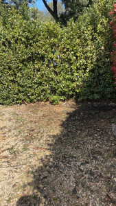 Photo de galerie - Enlever déchets vert (après)