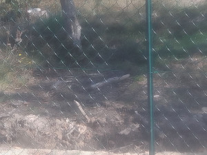 Photo de galerie - Clôture Grillage