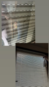 Photo de galerie - Nettoyage des fenêtres et des volets à la vapeur avec des produits adaptés qui permettent un nettoyage profond 