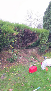 Photo de galerie - Jardinier