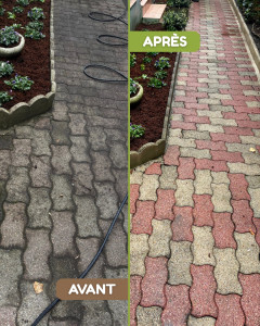 Photo de galerie - AVANT / APRÈS : Nettoyage d’une allée de pavés avec nettoyeur haute pression professionnel • Application d’un traitement antifongique pour une protection durable