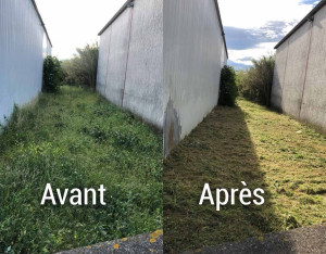 Photo de galerie - Pelouse avant après 