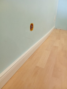 Photo de galerie - Plinthes électriques 
belle époque 