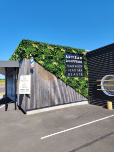 Photo de galerie - Réalisation d'un mur végétale 