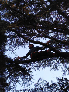 Photo de galerie - Photo prise par la cliente 