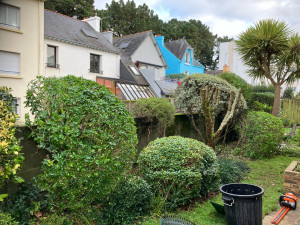 Photo de galerie - Taille de haies