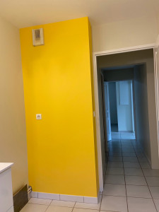 Photo de galerie - Rebouchage des fissures, ponçage, lessivage et couches de peinture velour